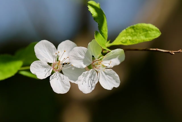 2017小学书香班级活动总结