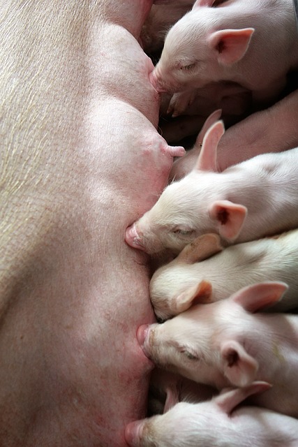 中国钟南山院士抗疫事迹简介 中国钟南山院士事迹