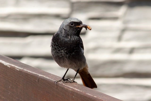 2021学党史组织生活会发言材料范文精选5篇