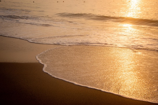 入党需经历哪些程序