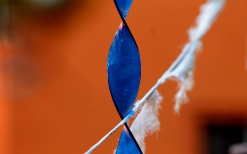 宅基地基本特征-春林公文网