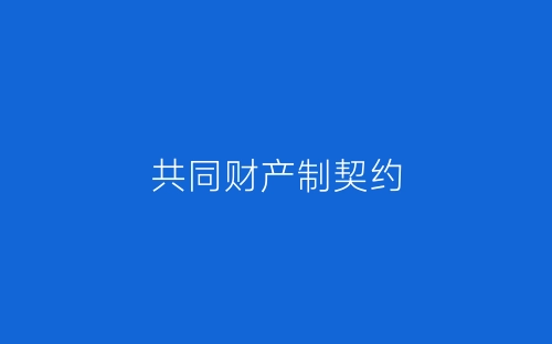 共同财产制契约-春林公文网