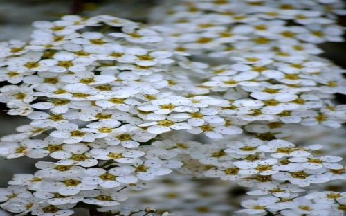 市国土房管局深入学习实践活动调研阶段总结-春林公文网