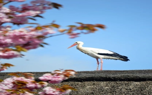 精选顶岗实习实习总结模板集锦七篇-春林公文网