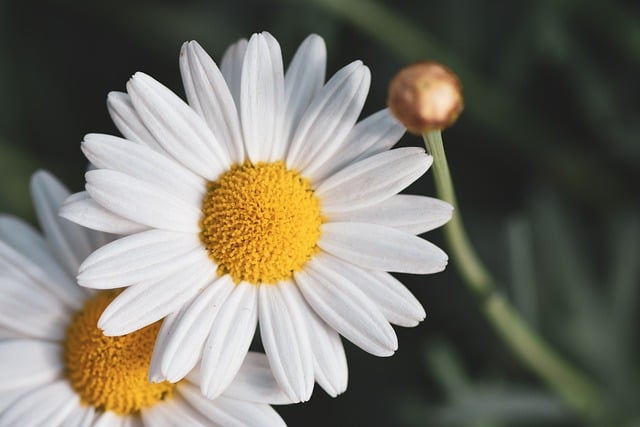 父亲节的祝福话语 父亲节的祝福语言简短