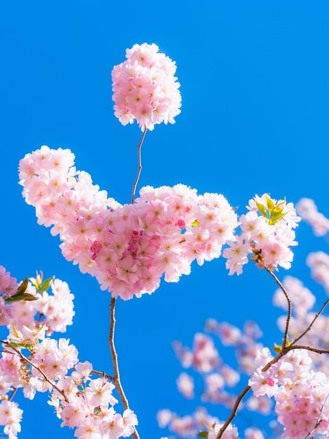 2017迎端午节活动宣传标语