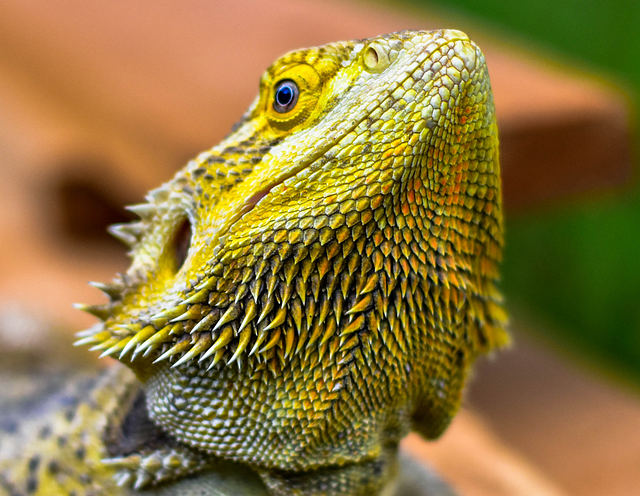 互助小组自主合作学习研究实验阶段性总结