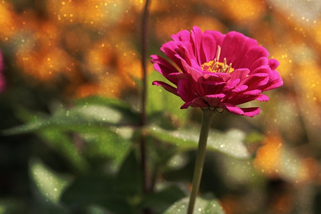 关于友情生日祝福短信