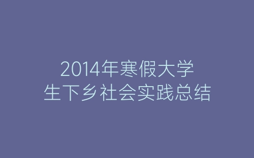 2014年寒假大学生下乡社会实践总结-春林公文网