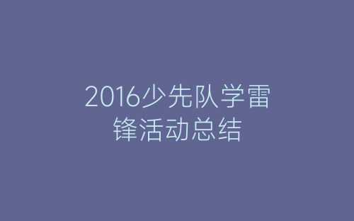 2016少先队学雷锋活动总结-春林公文网