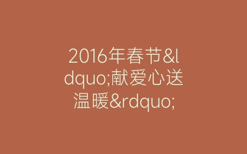 2016年春节“献爱心送温暖”活动小结-春林公文网