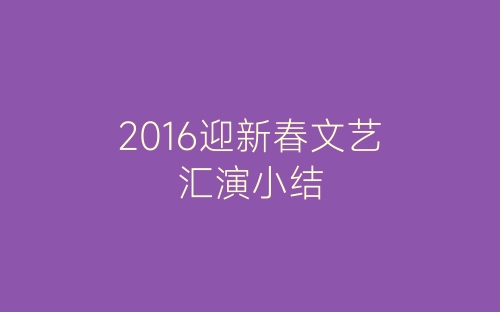 2016迎新春文艺汇演小结-春林公文网