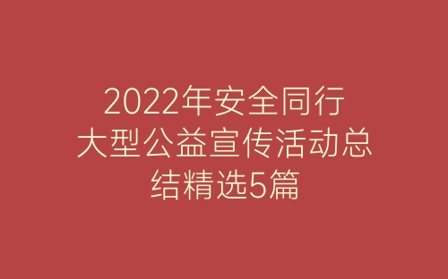 2022年安全同行大型公益宣传活动总结精选5篇-春林公文网
