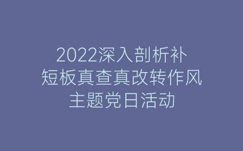 2022深入剖析补短板真查真改转作风主题党日活动-春林公文网