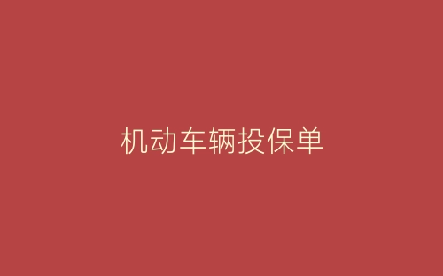 机动车辆投保单-春林公文网