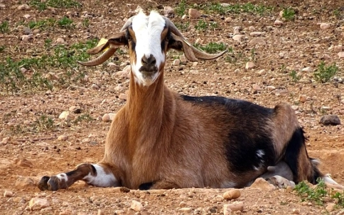 保险公司宣传语-春林公文网