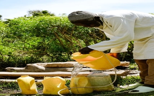 林场先进性教育活动分析评议阶总结范文-春林公文网