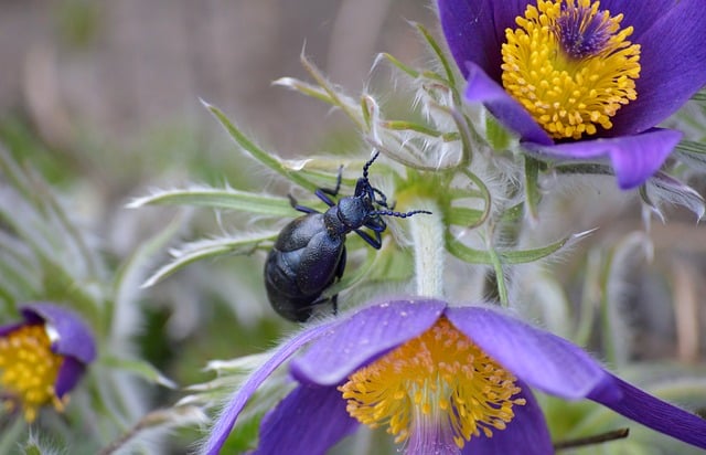 五一劳动节活动上的讲话