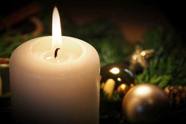 公务员入党申请书2021最新版范文