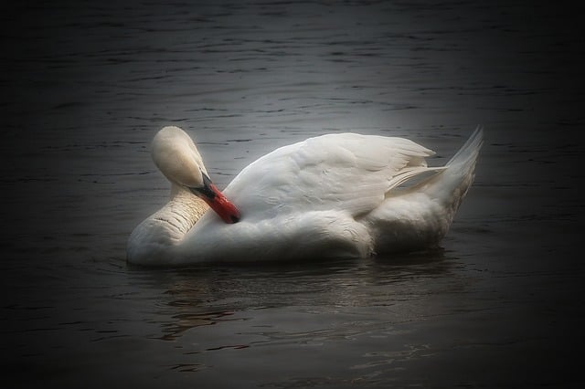 计生委副主任在全省流动人口计划生育工作情况通报讲话