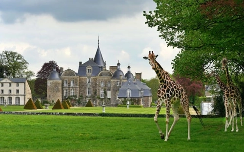 感恩公益演讲活动方案-春林公文网