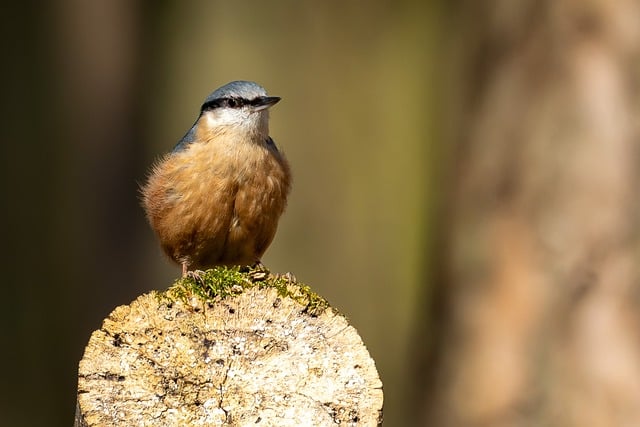 建设工程勘察合同
