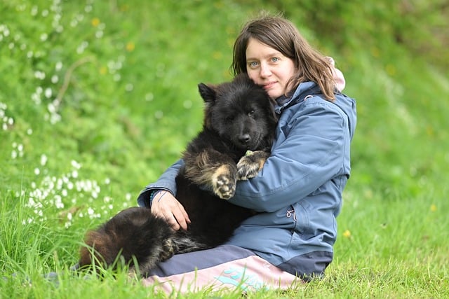 海口市环境保护局政务公开工作总结