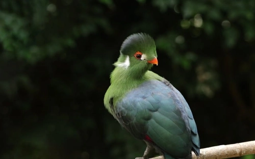 六一儿童节主持词开场白精选范例-春林公文网