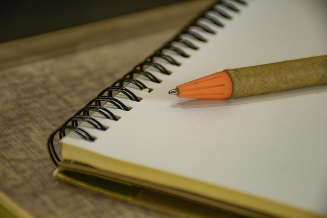 调查报告作文的评语