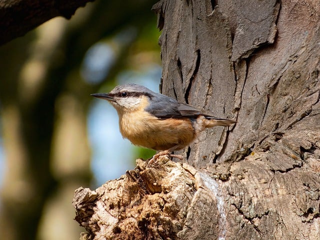 五四活动策划方案