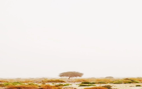 庆六一诗歌：六一儿童节英语诗歌欣赏-春林公文网