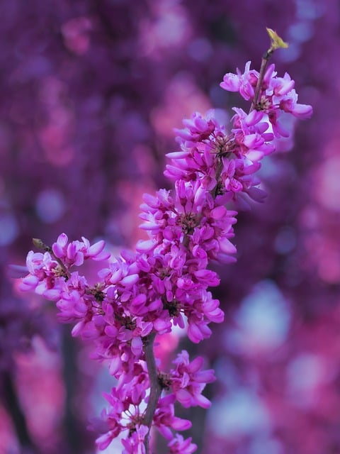 2021教师节给老师的慰问信范文精选7篇