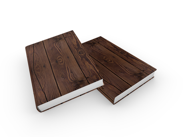 预备党员转正申请书模板