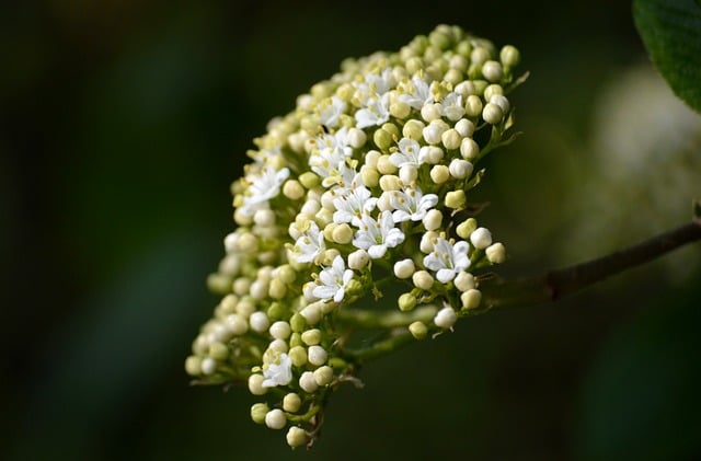 房屋套内使用面积销售协议