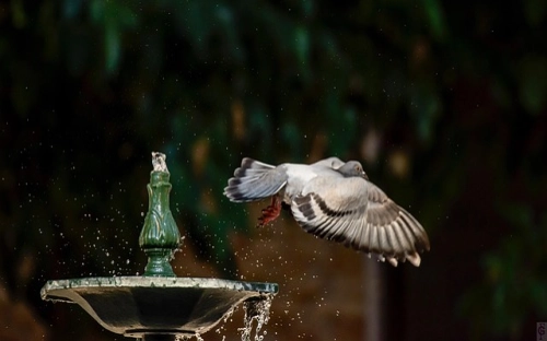 德育工作计划-春林公文网