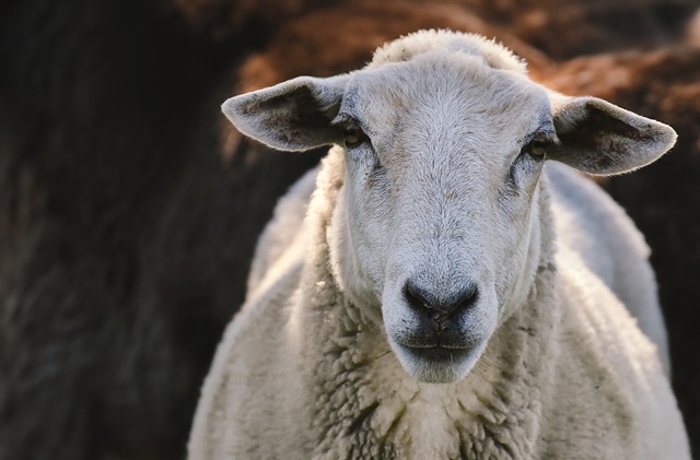 疫情防控的口号标语