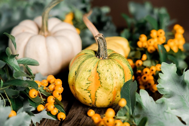 关于感恩节的由来参阅