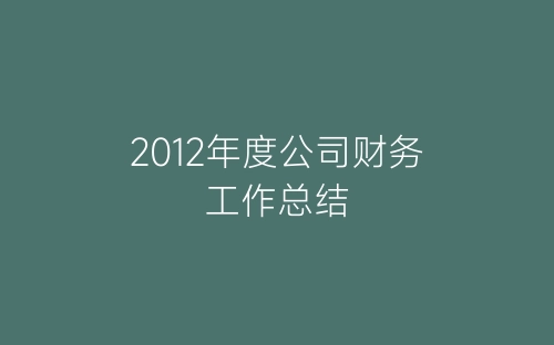2012年度公司财务工作总结-春林公文网