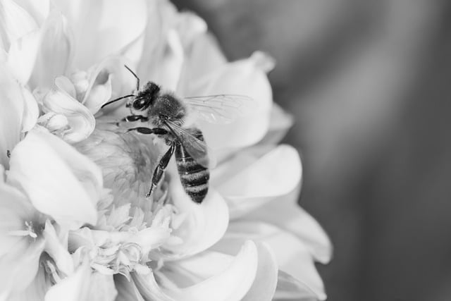 2017事业单位面试技巧和注意事项