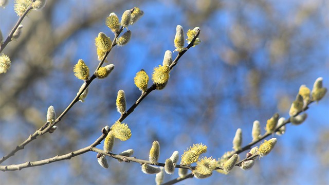 卫生院开展卫生机构突出问题专项整治工作自查自纠情况报告