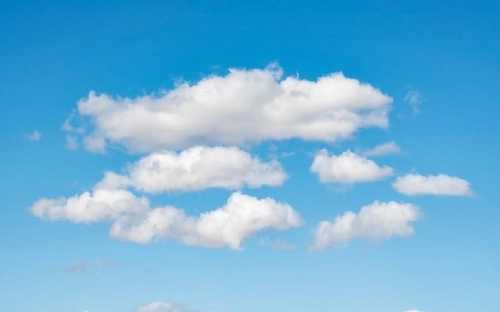 大学生清明节活动总结-春林公文网