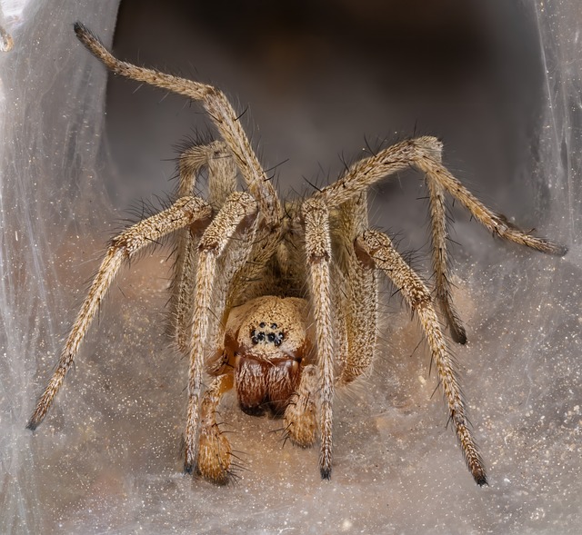 2017年学校电教工作总结