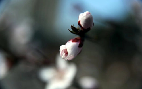 小学交通安全主题班会记录 主题班会会议记录范文-春林公文网