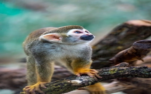 教师社会实践报告-春林公文网