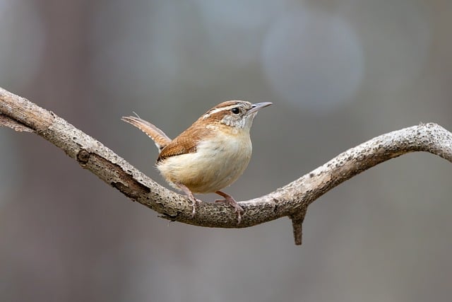 山村实践归来总结