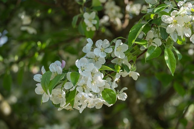 父亲节的祝福语50句