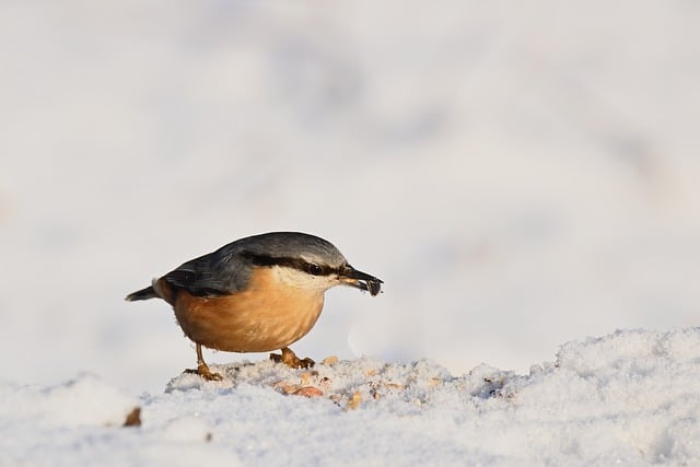 课堂教学现状调研报告