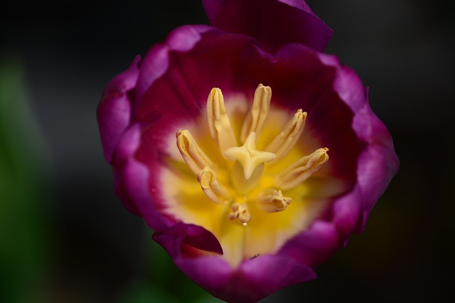 中秋问候祝福语