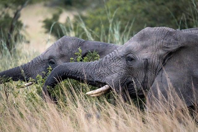技术开发合同（3）