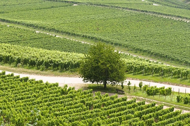 射频电子工程师个人简历表格精选11篇